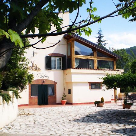 Agriturismo La Selva リエーティ エクステリア 写真